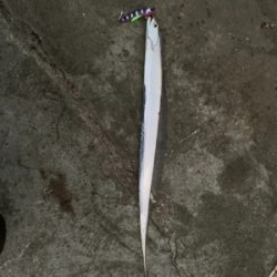 タチフロートで太刀魚狙い