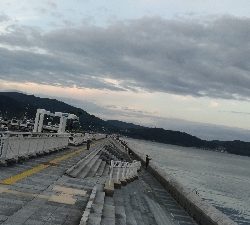 9/29釣果チヌとアイゴ