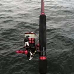 エギングロッドで小物釣り