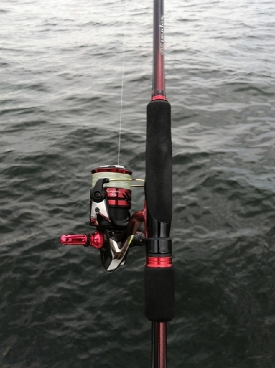 エギングロッドで小物釣り