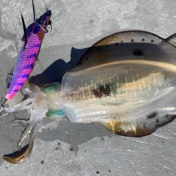 手漕ぎボートでティップラン