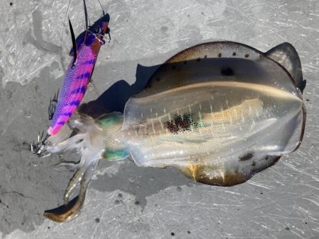 手漕ぎボートでティップラン