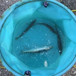 釣果も記憶も寒い!