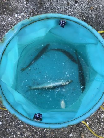 釣果も記憶も寒い!