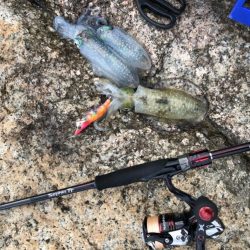 フラッシュ効果発動⁉️