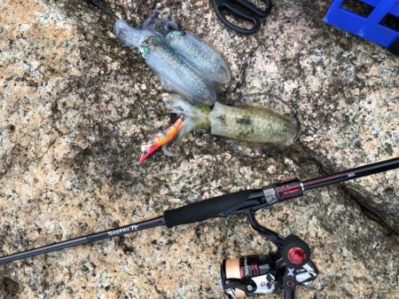 フラッシュ効果発動⁉️