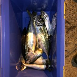 ナイトディープアジング