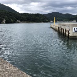 一ヶ月ぶりの釣り