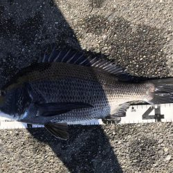 イチノ兄弟、釣果!