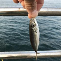 連休3日目!人、人、人