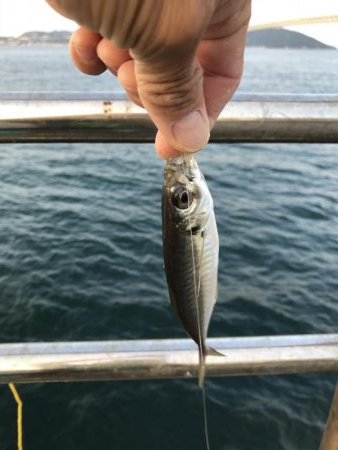 連休3日目!人、人、人