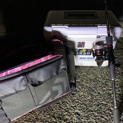 ナイトエギング