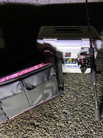 ナイトエギング