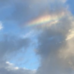 福井で初新子釣り