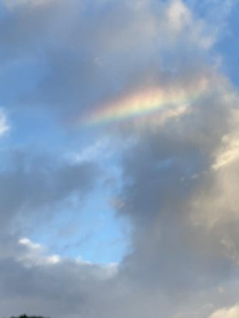 福井で初新子釣り