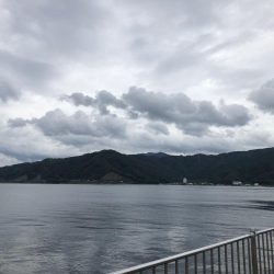 秋の数釣りシーズン?