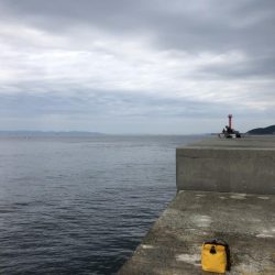 神谷荘さんで大波止へ