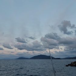 イカの気持ち１