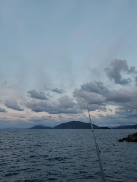 イカの気持ち１