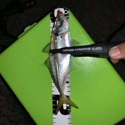 此処は大阪湾奥？