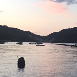 簡単で楽しい!秋のアオリイカ釣行!