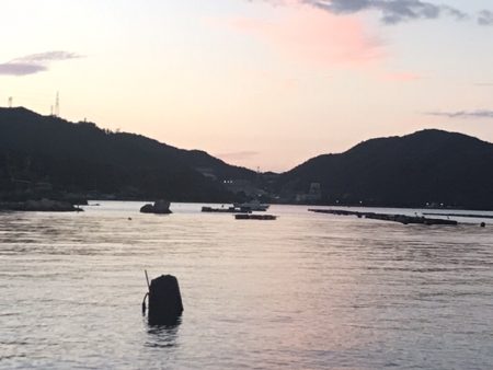 簡単で楽しい!秋のアオリイカ釣行!