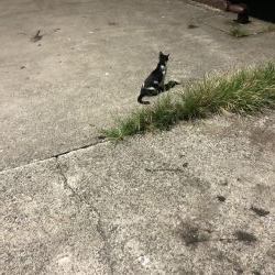 まだまだ小ぶり