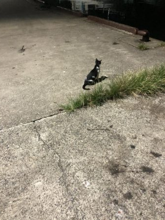 まだまだ小ぶり