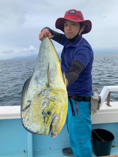 カツオにメーターオーバーシイラ連発　ルアー船　大宝丸