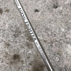 9月17日イカは元気