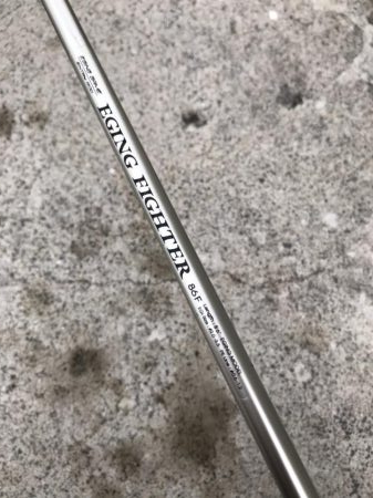 9月17日イカは元気