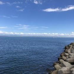 ベイト何処いった?