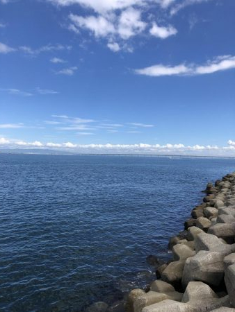 ベイト何処いった?