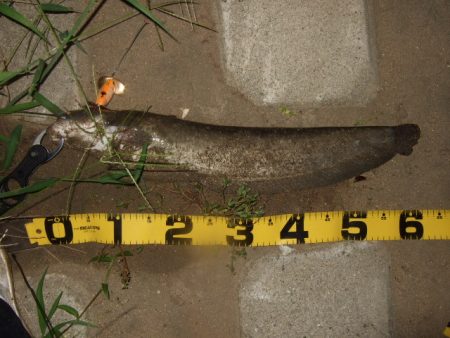 いよいよシーズン終盤の良い時期に