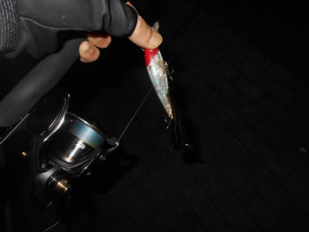 岸壁ノックでズドンッ!!。