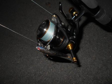 タダ巻きでは食ってこない。