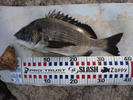 チヌトップ！！