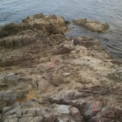 小場所の様子見