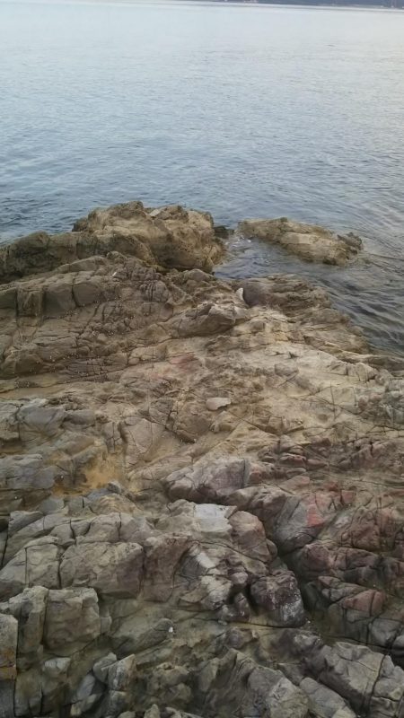 小場所の様子見