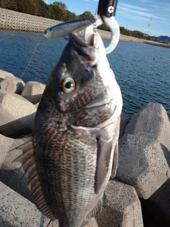 トップゲーム!!