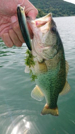 季節は秋！巻物のシーズン！！