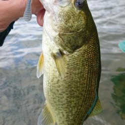 水温低下でシャローで爆発