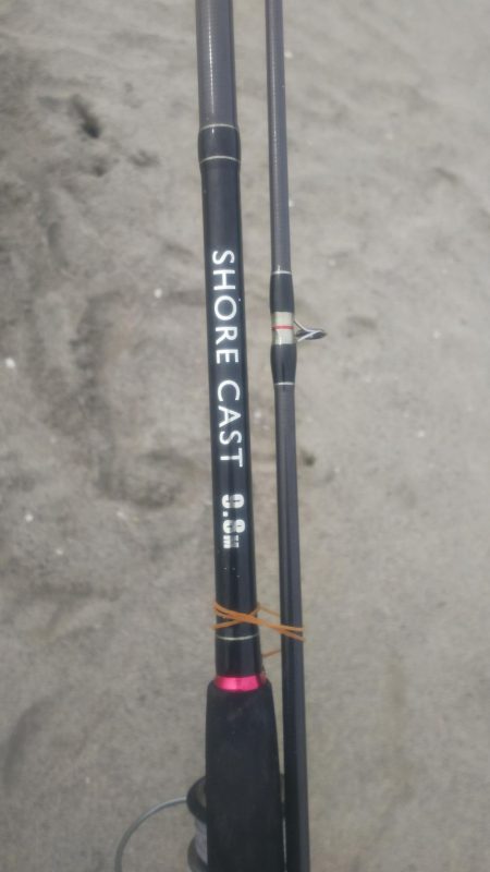 シャーク！！！