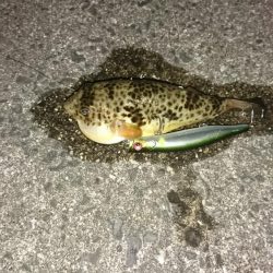 3バイト1キャッチ