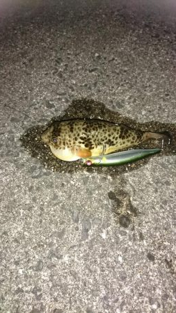 3バイト1キャッチ