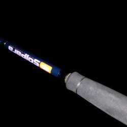 南港タチウオ調査開始