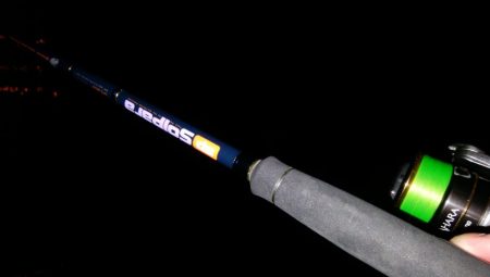 南港タチウオ調査開始