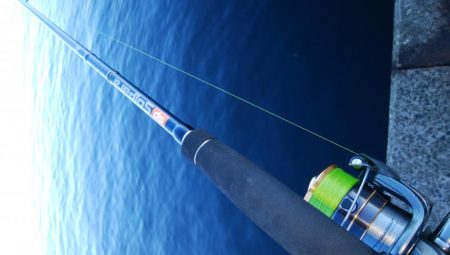 今年もタチウオ遅いな～