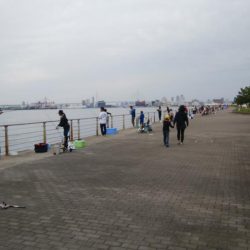 南港ショアジギング二日目