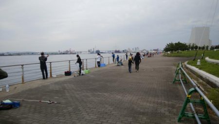 南港ショアジギング二日目